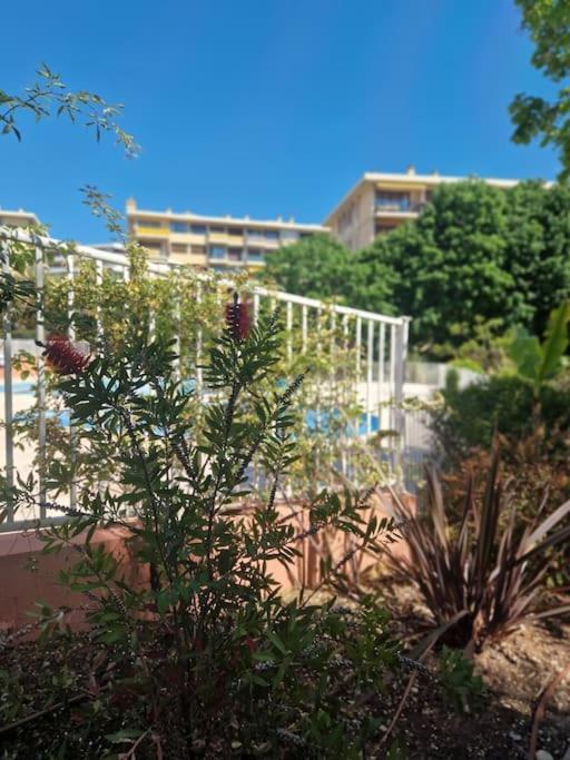 Appartement Vue Mer Sur Les Hauteurs De Nice Exterior photo